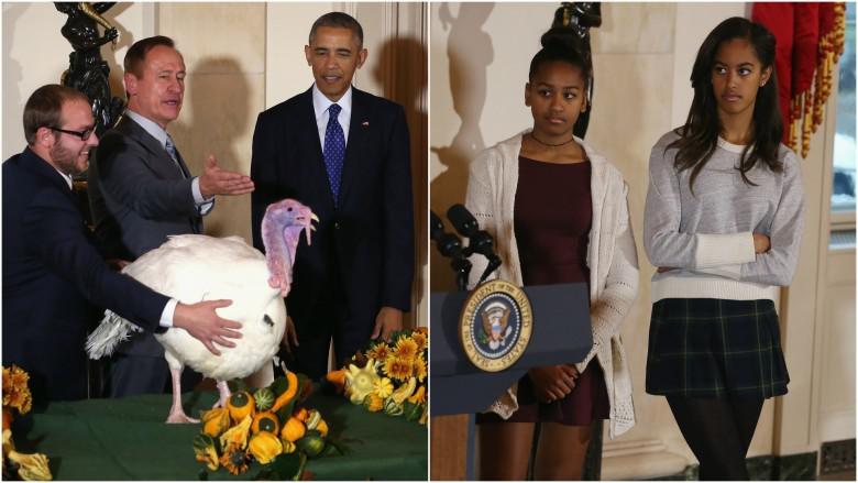 They didn't give a 'cluck' at the turkey pardoning 19