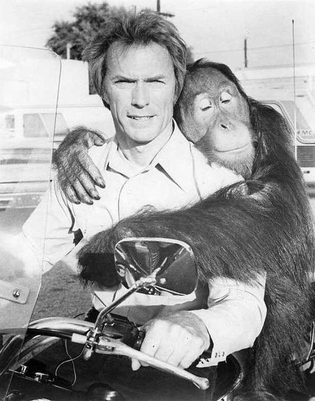 Every Which Way But Loose (1978) - Clint Eastwood and his "sweet" pet orangutan, Clyde 35