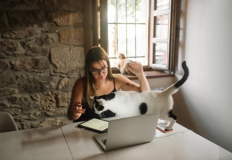 Walking And Sitting On Whatever You're Busy With