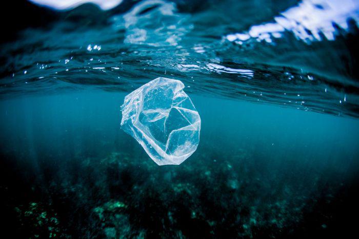 There Is More Plastic Than Plankton In The Oceans