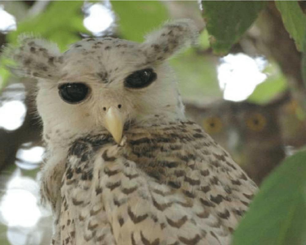 Who's Ready for a Picture? 22